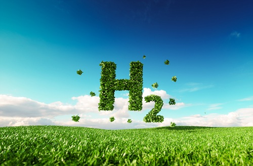 Electric vs Hydrogen Cars: Which Will Power the Future of Green Driving?